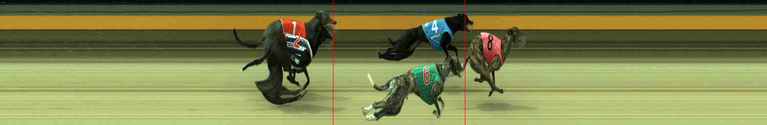 Race result finish photo